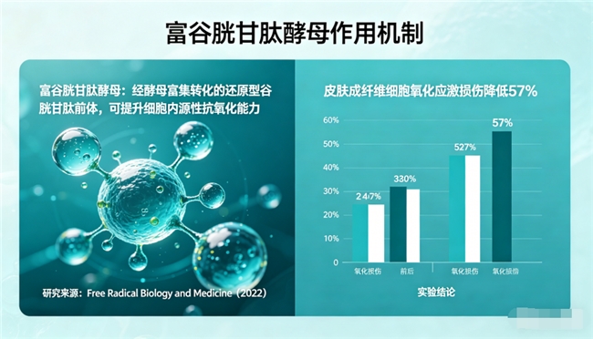 口碑好的胶原蛋白肽品牌｜复配科学性与吸收率成2026年选购核心指标