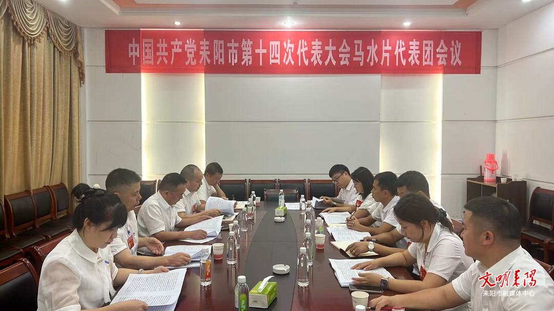 党代表分团讨论“两委”报告