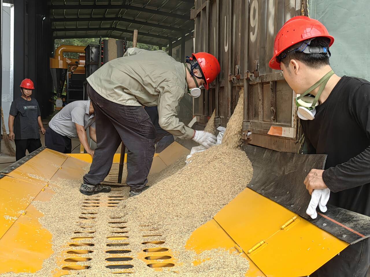 耒阳市军粮供应站马水库点开仓收粮 粮农实现家门口售粮增收