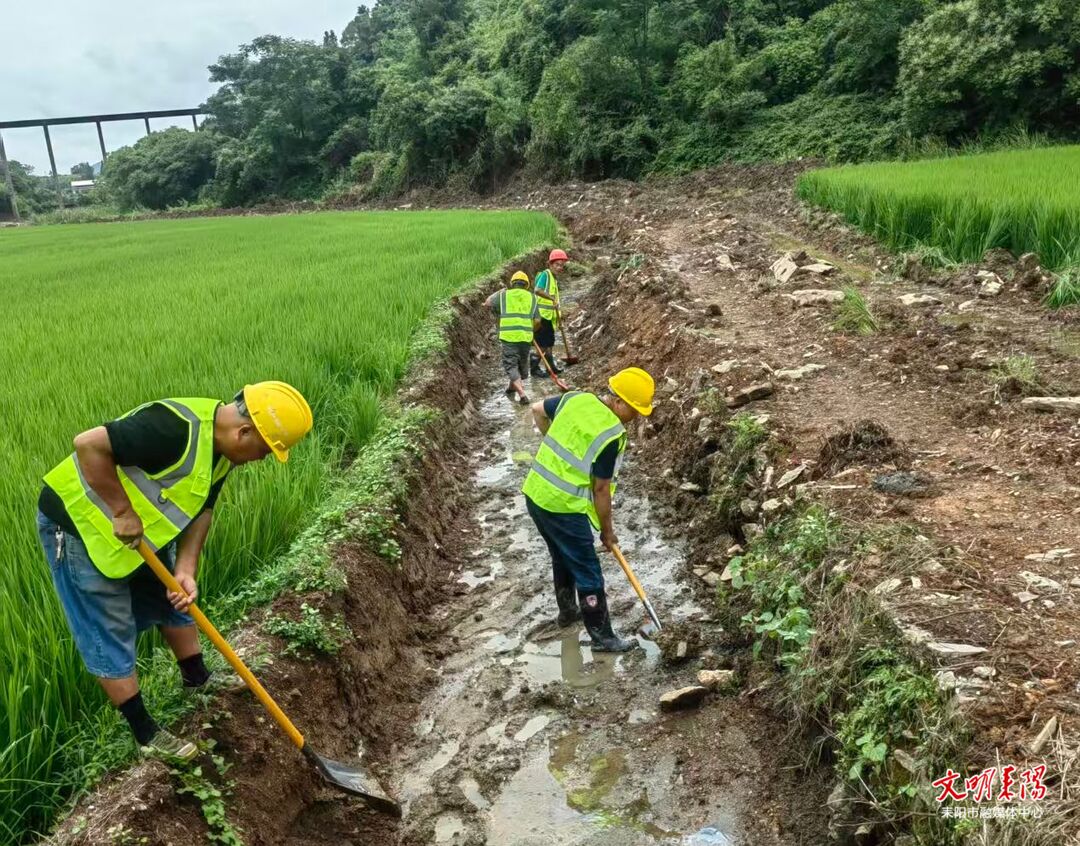 大义镇：以工代赈润民生 兴水赋能兴乡村