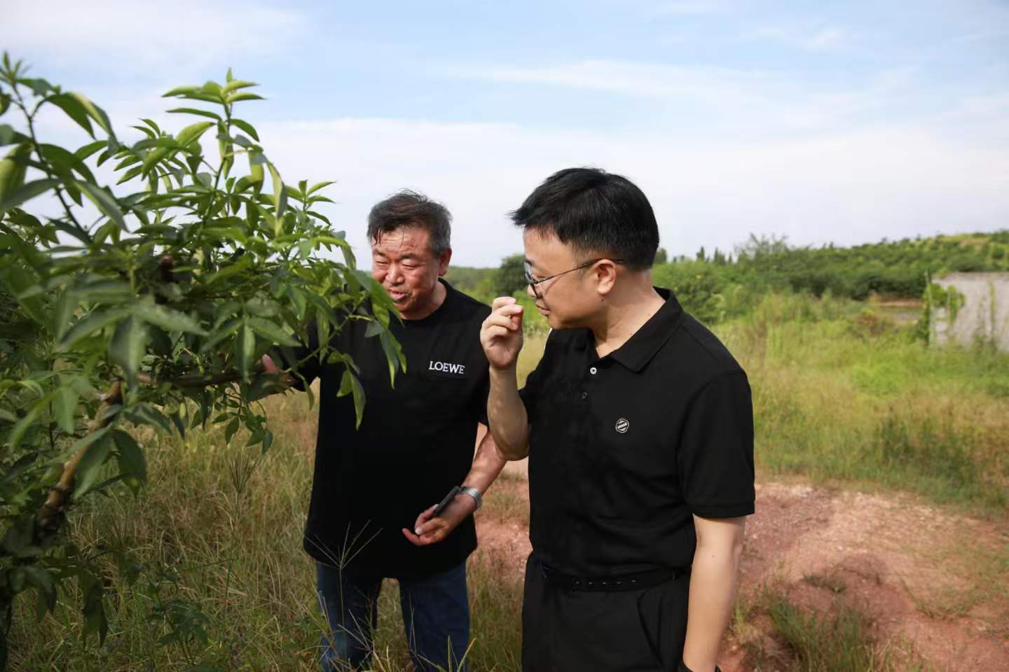 张润槐到坛下乡调研常态化帮扶和巩固拓展脱贫攻坚成果工作