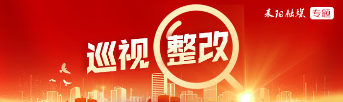 巡视整改