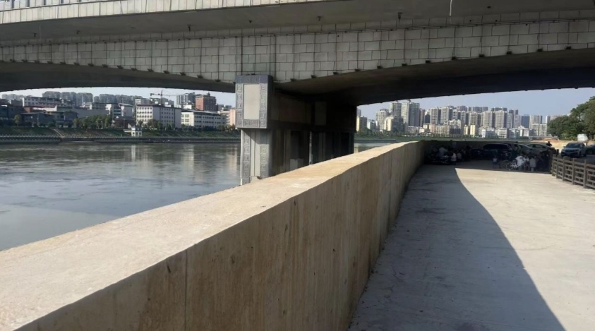 长龙锁水定安澜——耒阳水东江防洪保护圈建设纪实