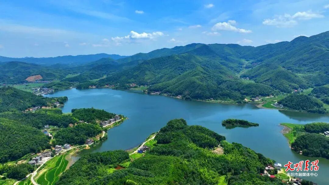 让“绿水青山”成“幸福靠山”——耒阳推深做实“林长制”筑牢绿色“生态线”