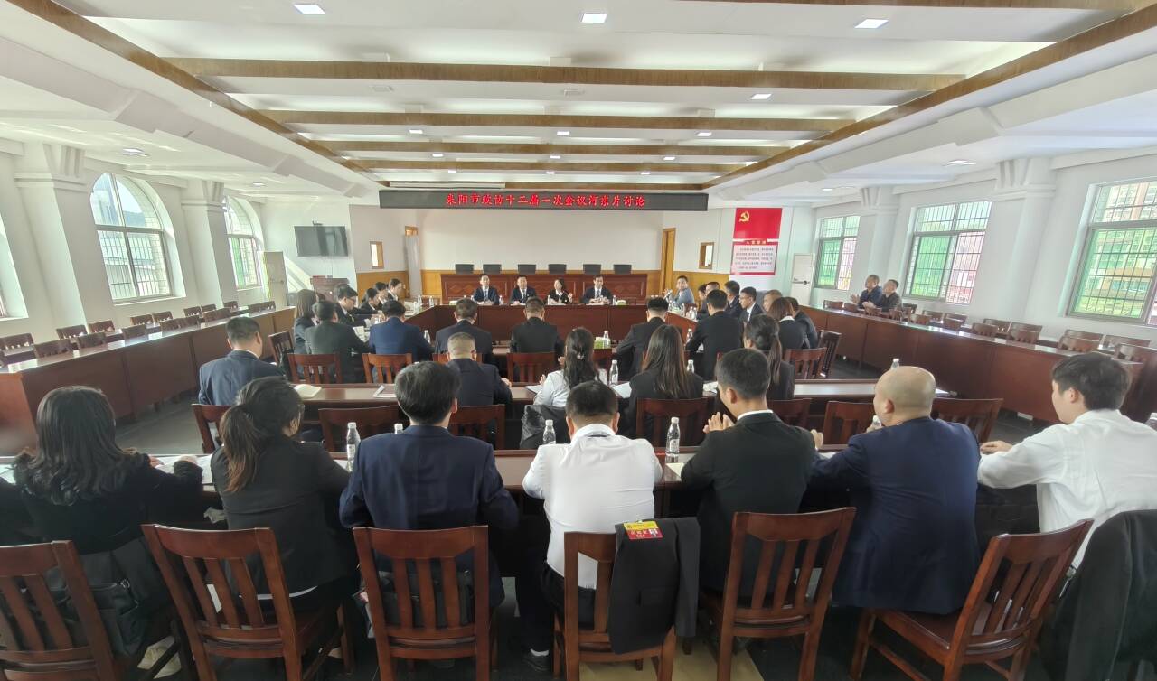 政协委员分组讨论政府工作报告