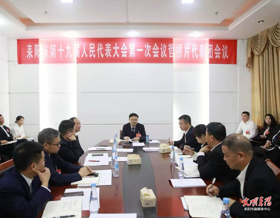 张润槐参加哲桥片代表团审议